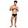 Фалоімітатор з мошонкою реалістичний Fleshjack Boys ALLEN KING DILDO, тілесний, 18 см х 4,5 см